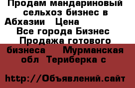 Продам мандариновый сельхоз-бизнес в Абхазии › Цена ­ 1 000 000 - Все города Бизнес » Продажа готового бизнеса   . Мурманская обл.,Териберка с.